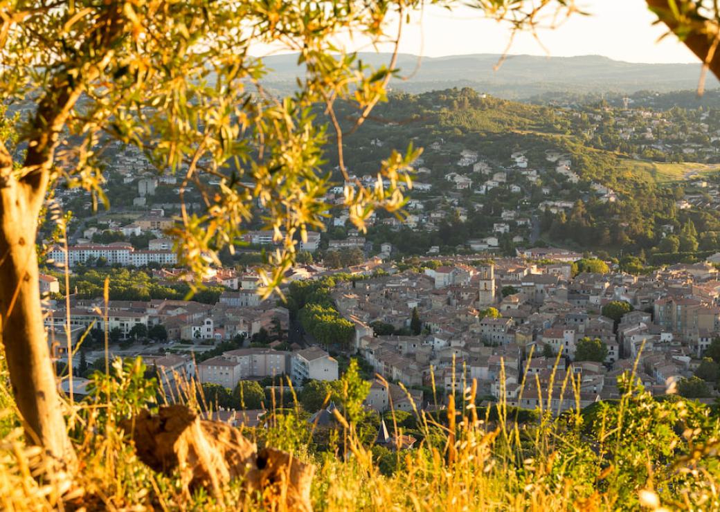 Intercommunalités et communes rurales : accompagner les projets au cœur des territoires avec Rural Consult