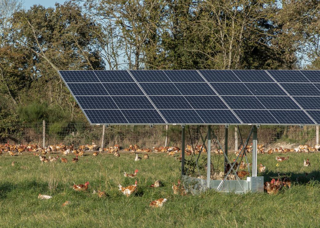 Développement de l’agrivoltaïsme : le décret cadre en consultation