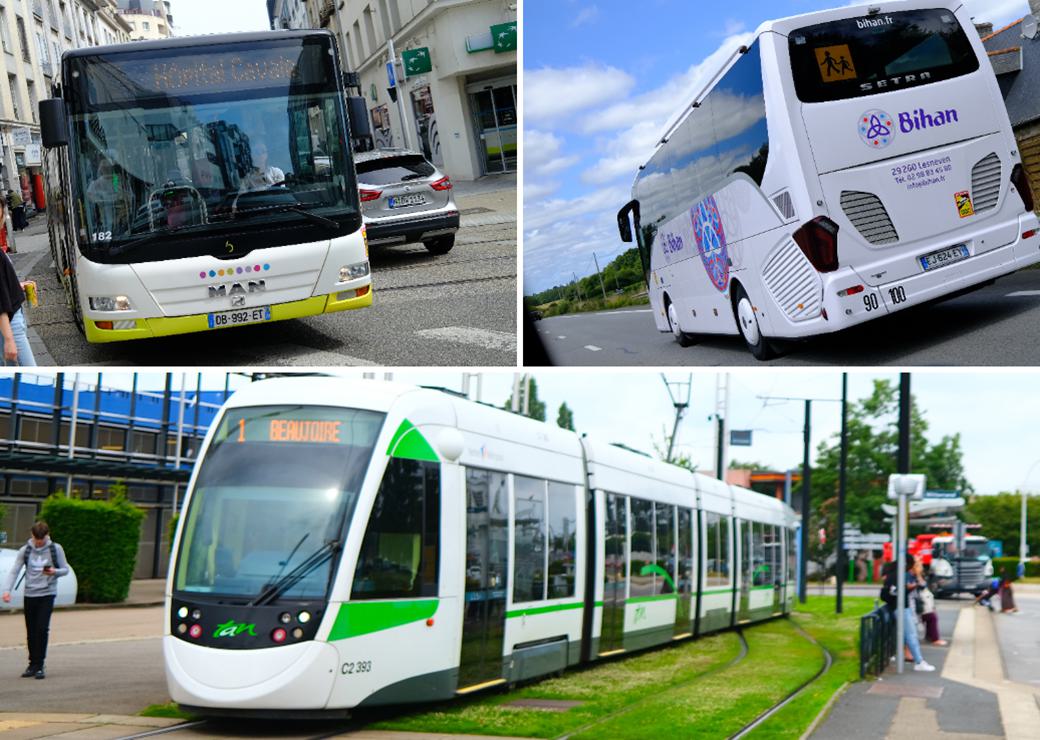 Bus , tramway et car