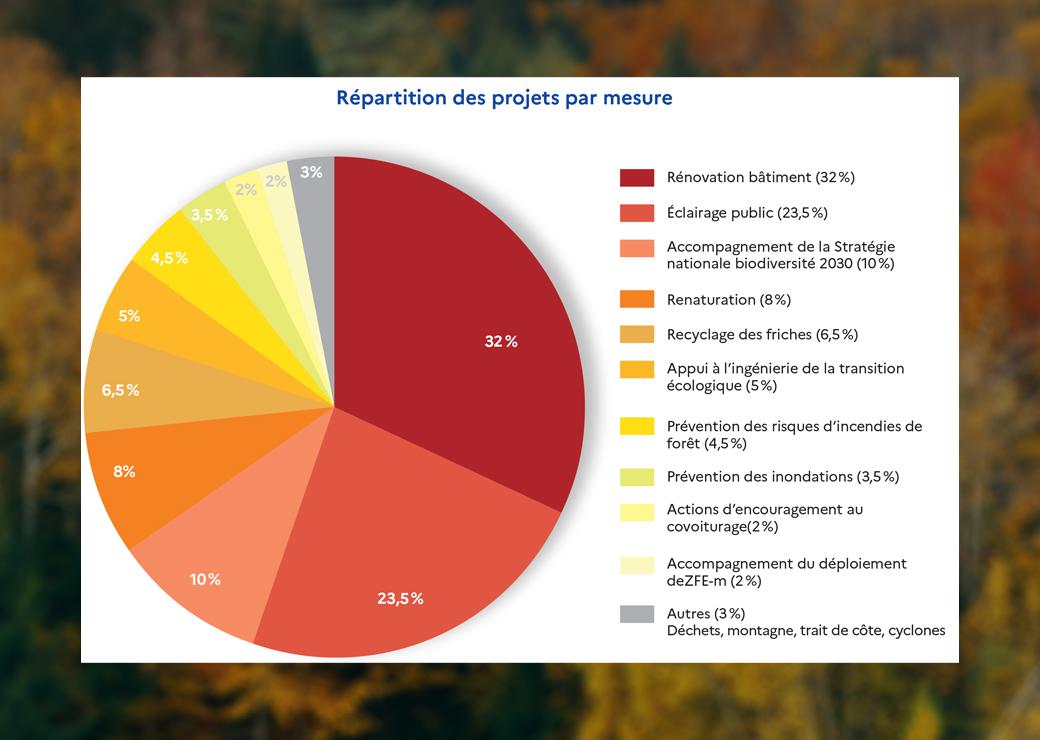 camenbert : répartition des projets par mesure 