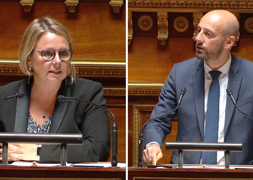ppl cabinet de conseil au Sénat