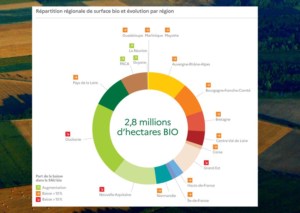 graph bio