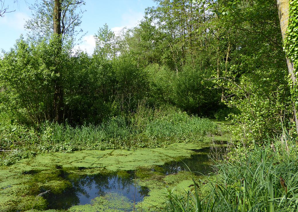 site naturel