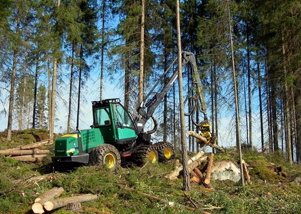 foret