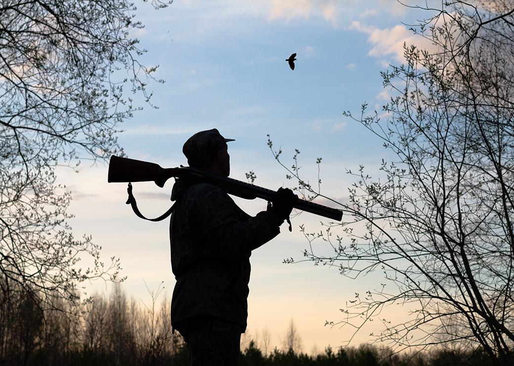 chasseur