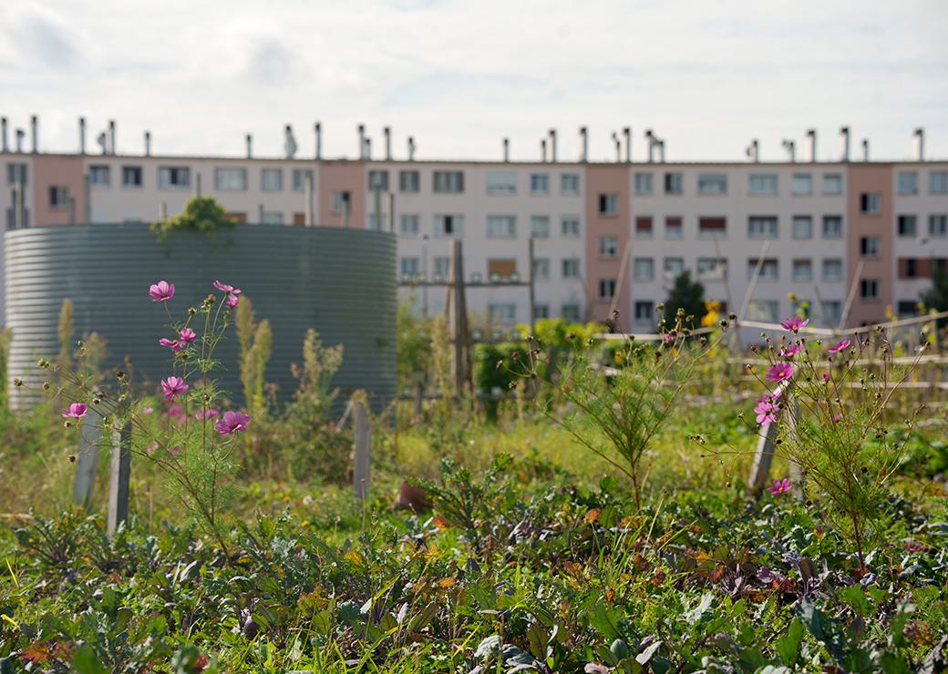 Politique de la ville : les deux tiers du programme de rénovation urbaine engagés fin 2024 mais risque de trésorerie déficitaire dès 2026