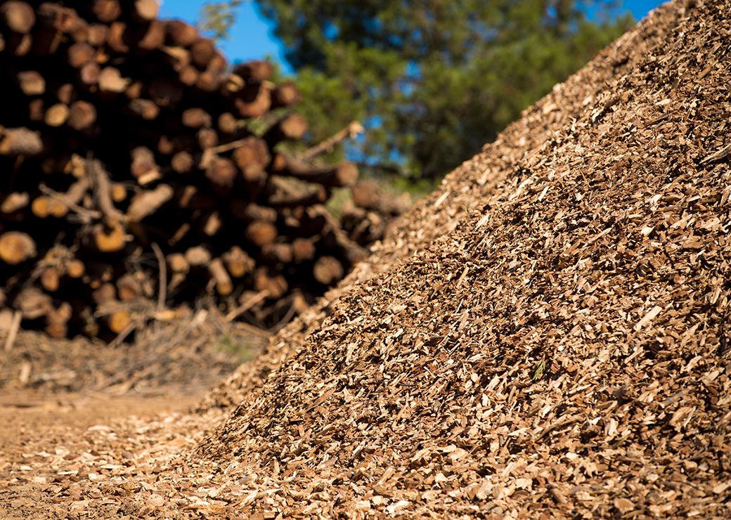 Energies renouvelables : un rapport de mission invite à mieux évaluer le potentiel de production à partir de biomasse agricole et forestière