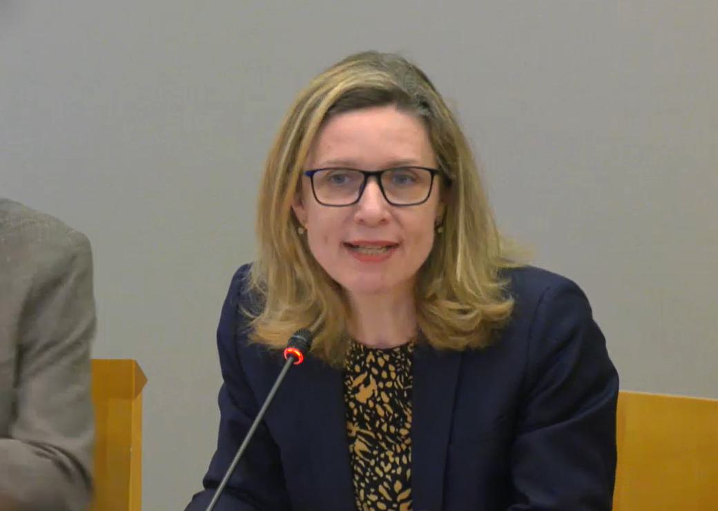 Laurence Tison-Vuillaume