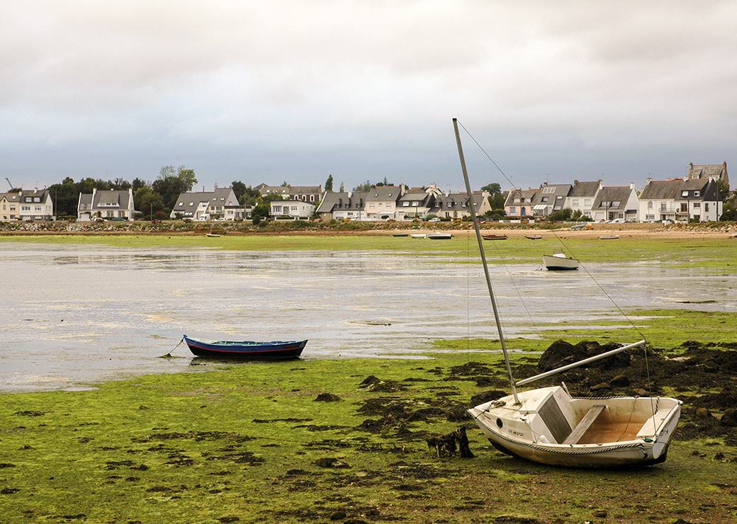 Algues vertes en Bretagne