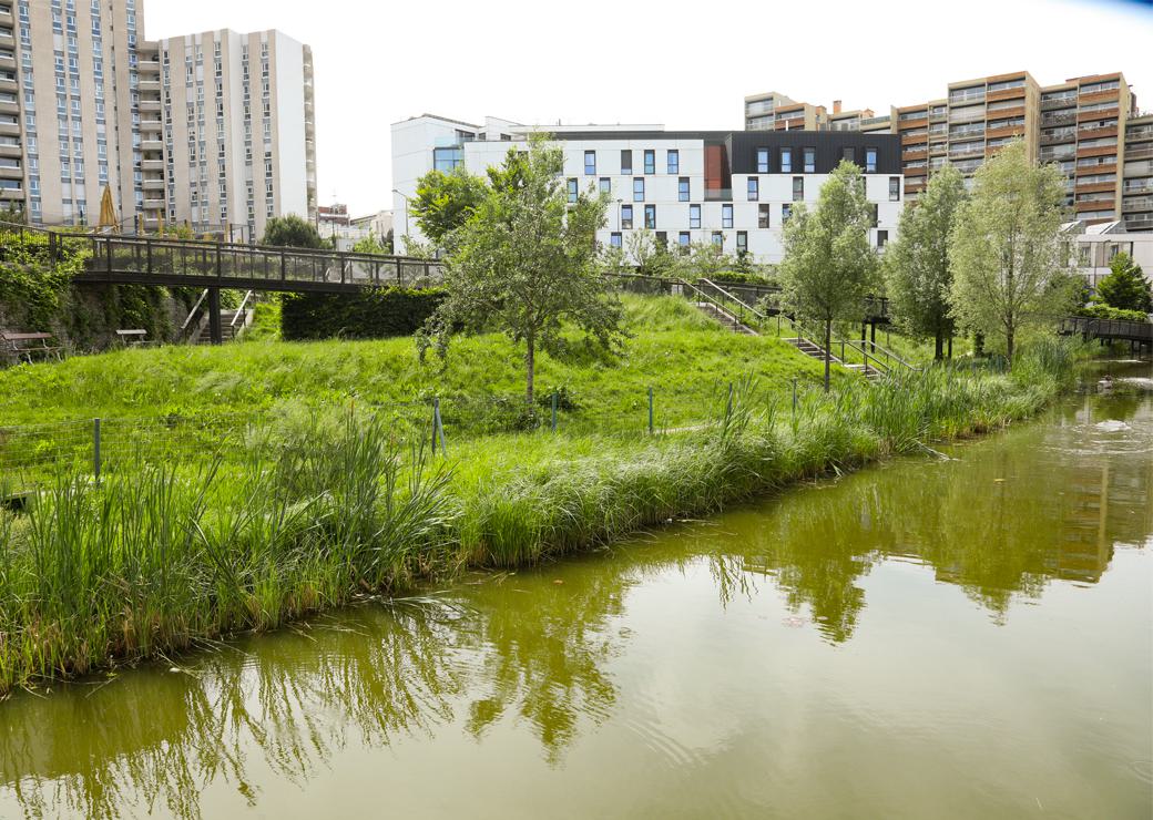 immeubles en bord de parc