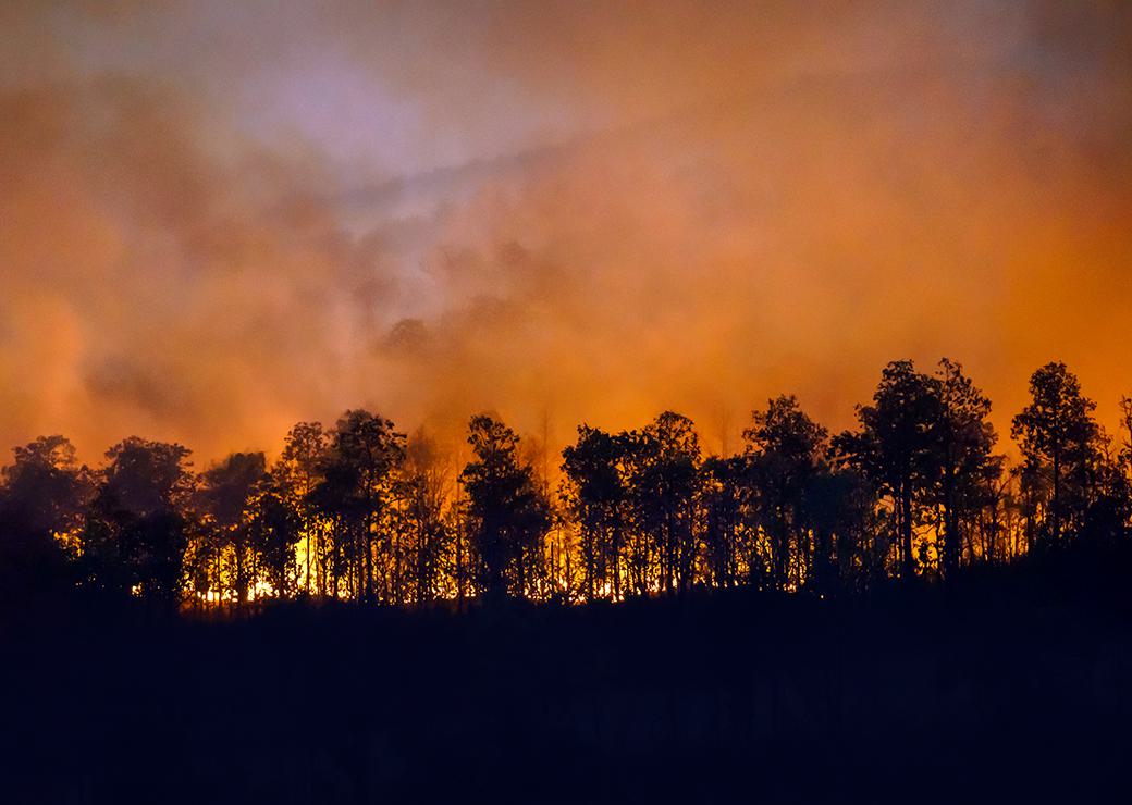 ’incendie de forêt