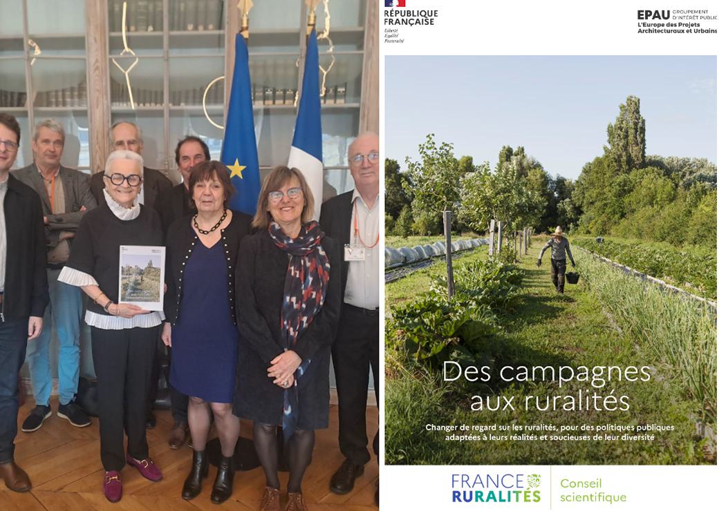 rapport ruralité