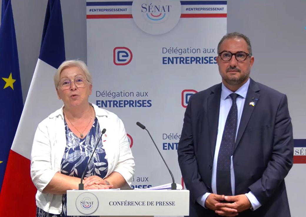 conférence de presse de Anne-Marie Nédélec et Franck Menonville