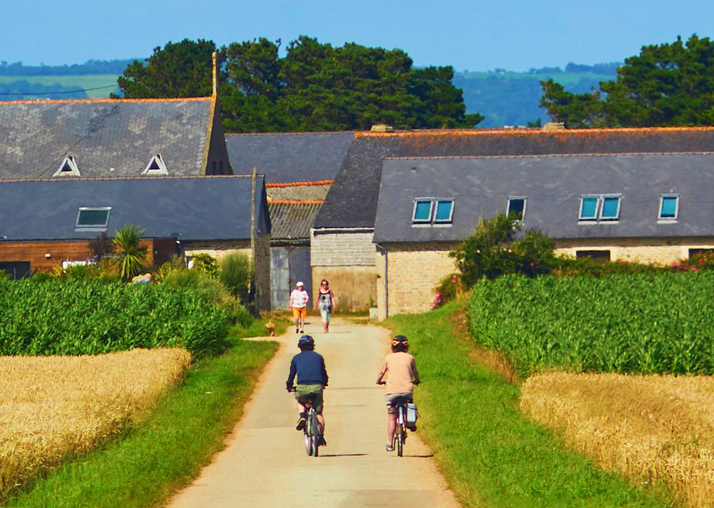 cyclistes à la campagne