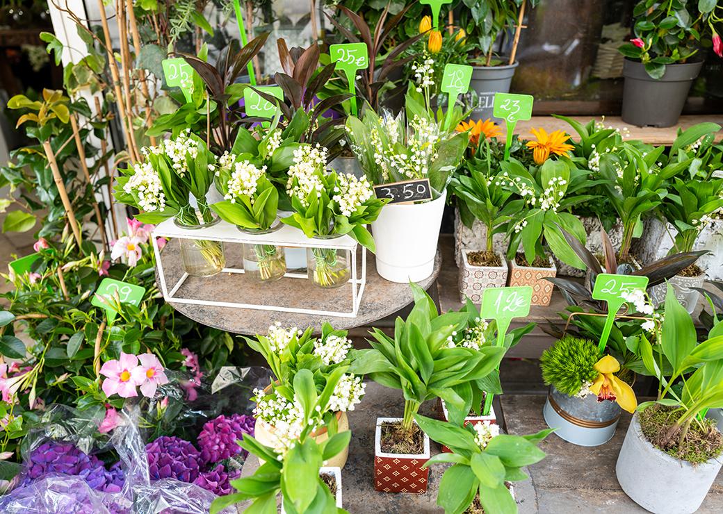 vente de muguet chez un fleuriste