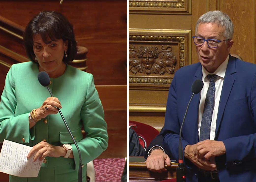 Dominique Estrosi-Sassone et Daniel Gremillet