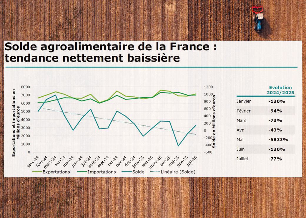 graphique