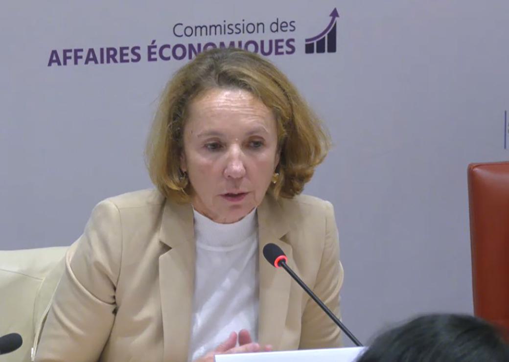 Marie-Ange DEBON