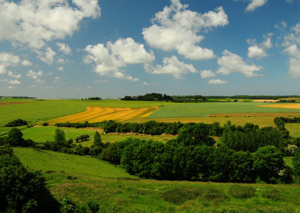 Consignation - outil de sécurisation du droit de préemption et d’expropriation des collectivités