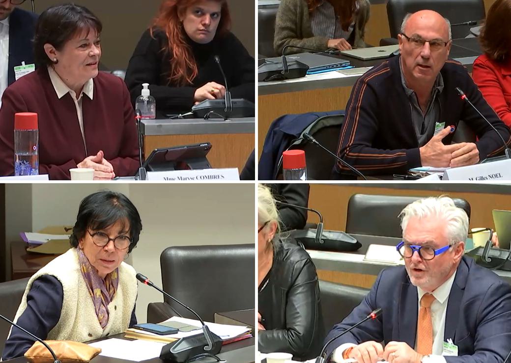  Maryse Combres, Gilles Noël, Christine Pirès-Beaune et Pascal Berteaud