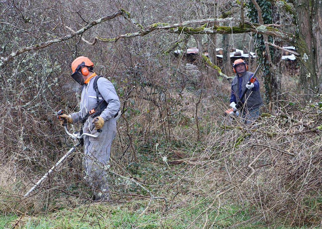 débroussailment
