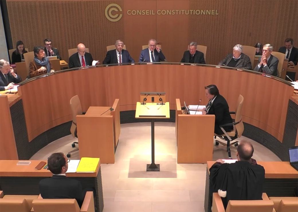 conseil constitutionnel 