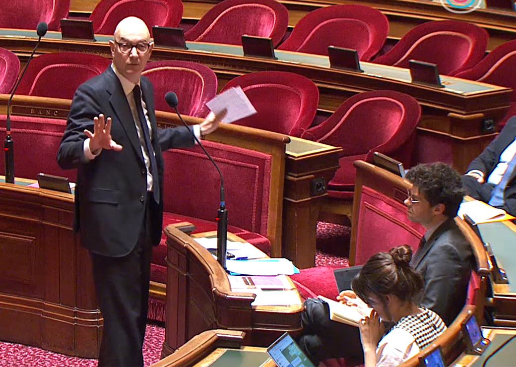 Roland Lescure au Sénat