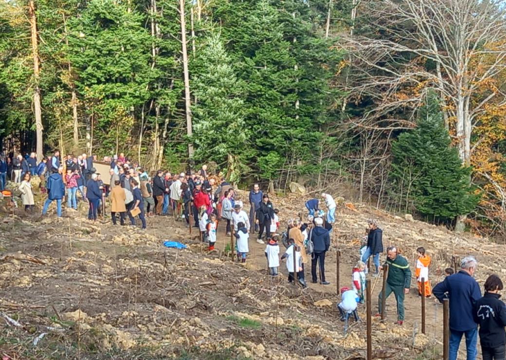Une cinquantaine de personnes sur une parcelle déboisée, dans une forêt
