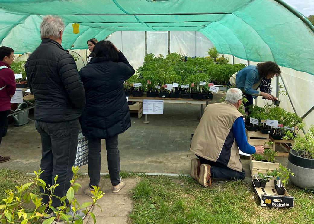 vente annuelle d’aromates, fleurs et autres plantes au chantier d'insertion  les Jardins du coeur 