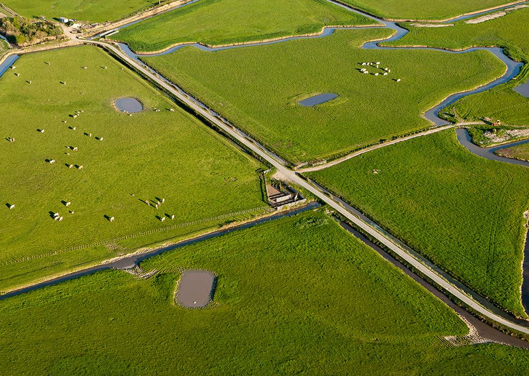 des bassines dans le marais Poitevin