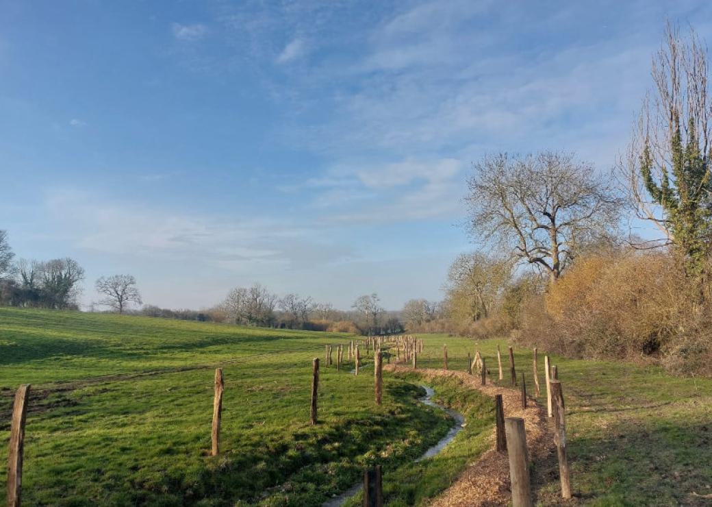un ruisseau serpente au milieu d'une prairie valonnée