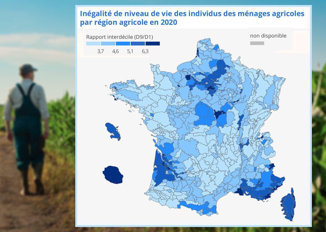  Inégalité de niveau de vie des individus des ménages agricoles par région agricole en 2020