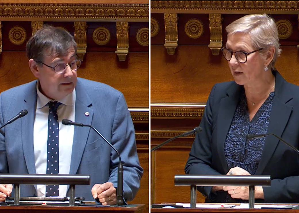 Patrick Chaize et Anne Le Hénanff