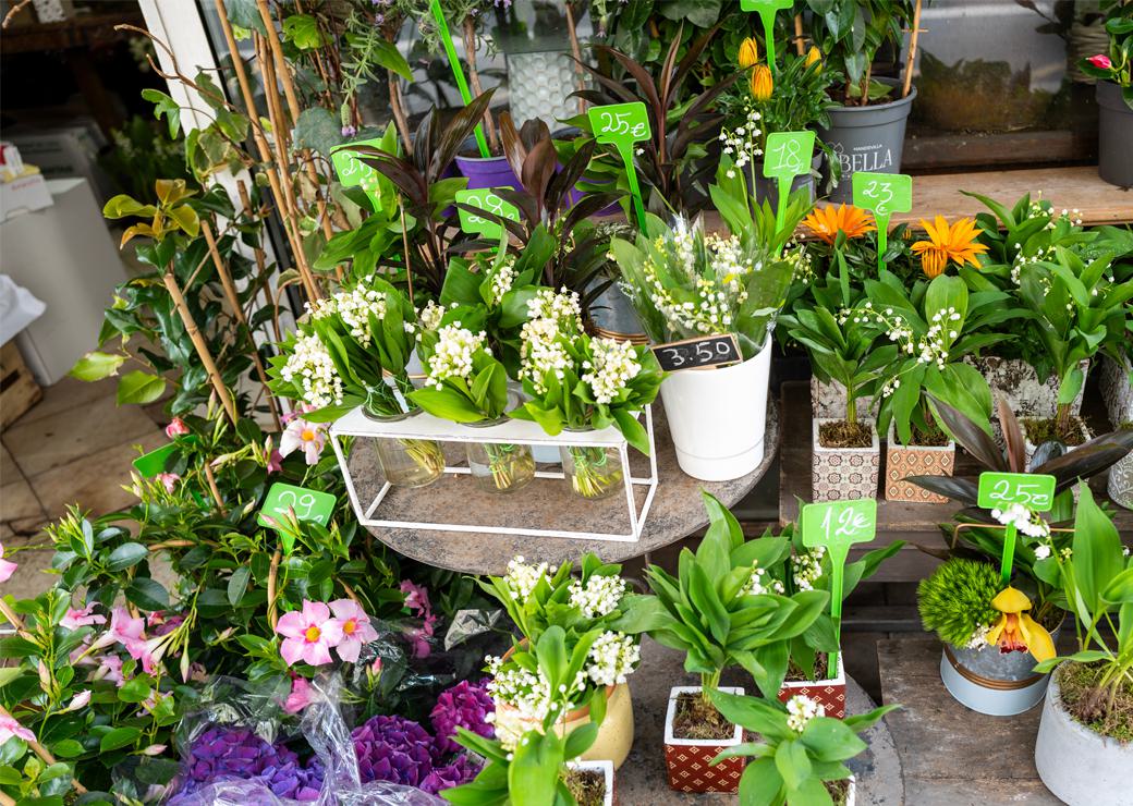 du muguet chez un fleuriste 