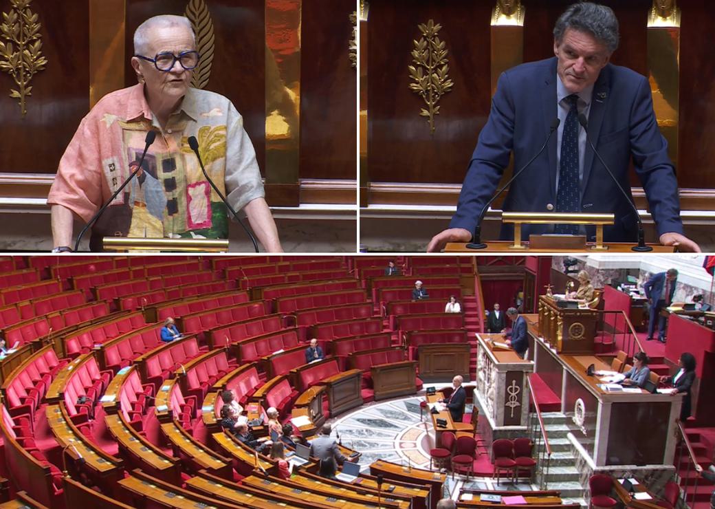 Françoise Gatel et Paul Molac
