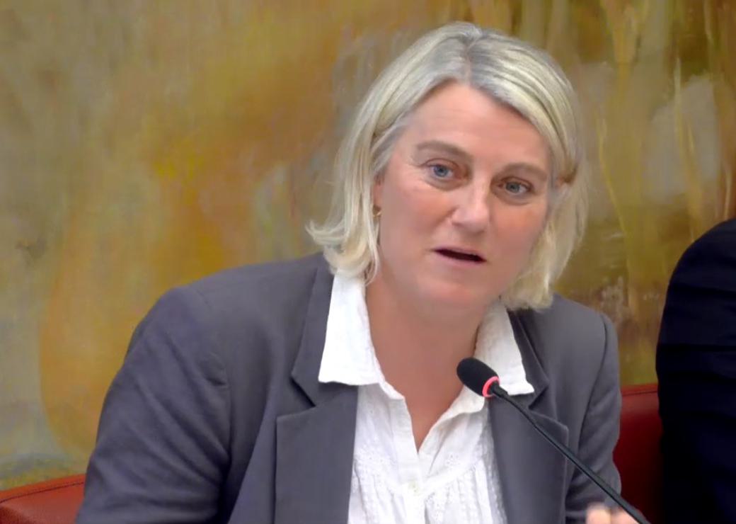 Audition de Stéphanie Rist devant la commission des affaires sociales le  29 avril