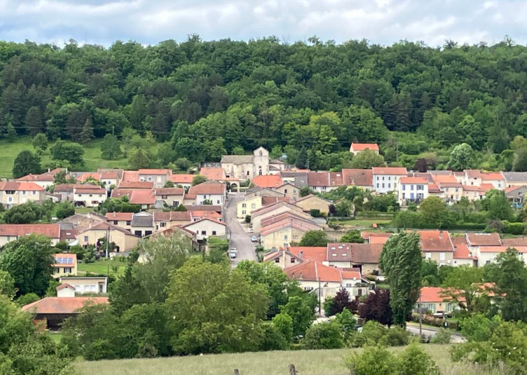 Vue aérienne d'un village entouré de forêts