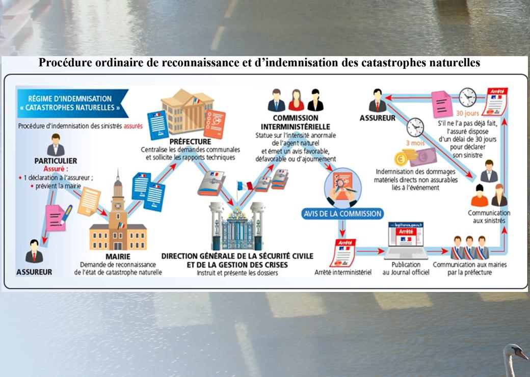 schéma de procédure de reconnaissance et d'indemnisation de procédure naturelle 