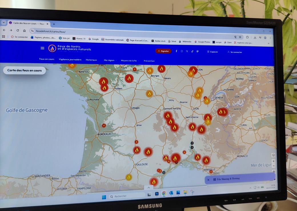 Carte des feux en temps réel 
