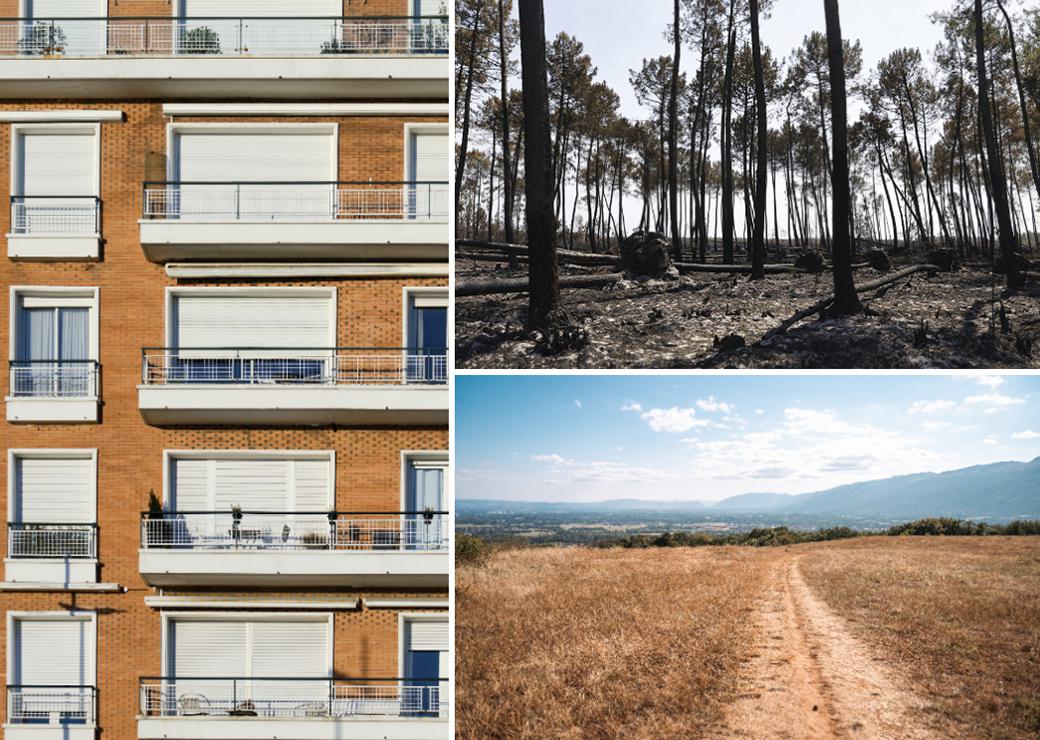 volets fermés , foret brulée et champs sec 