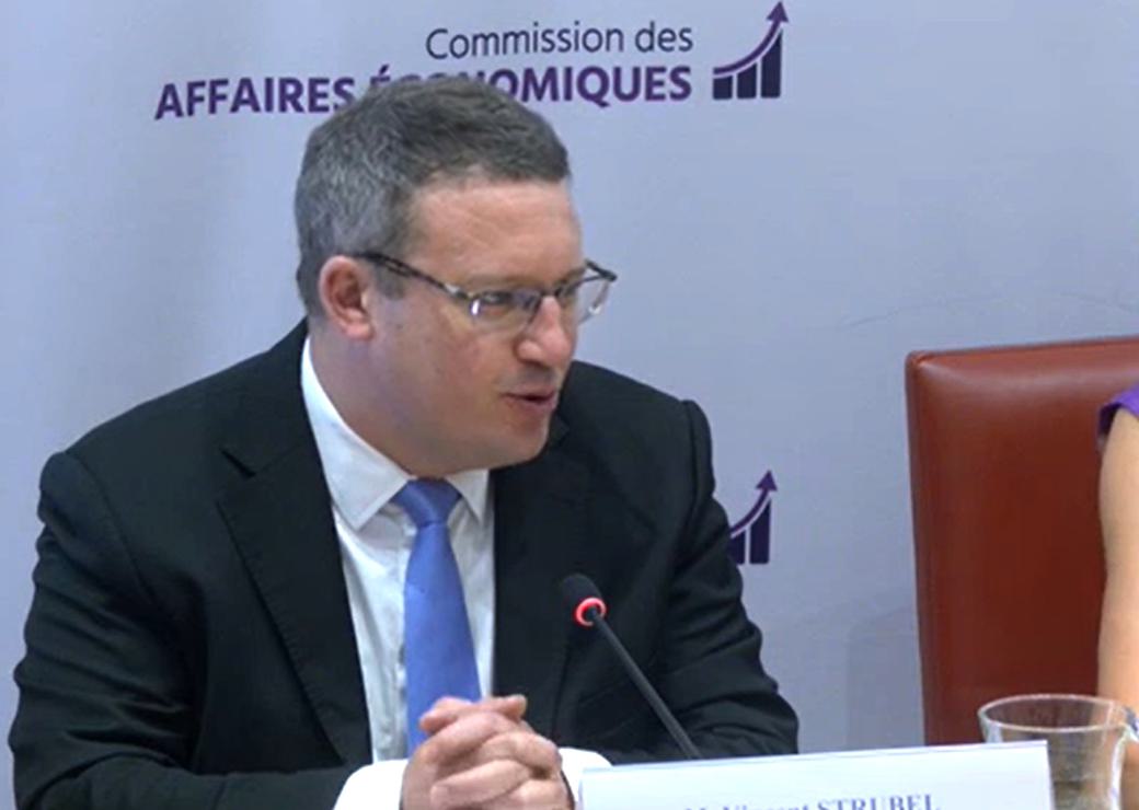 Audition de  Vincent Strubel, directeur général de l’Agence nationale de sécurité des systèmes d’information