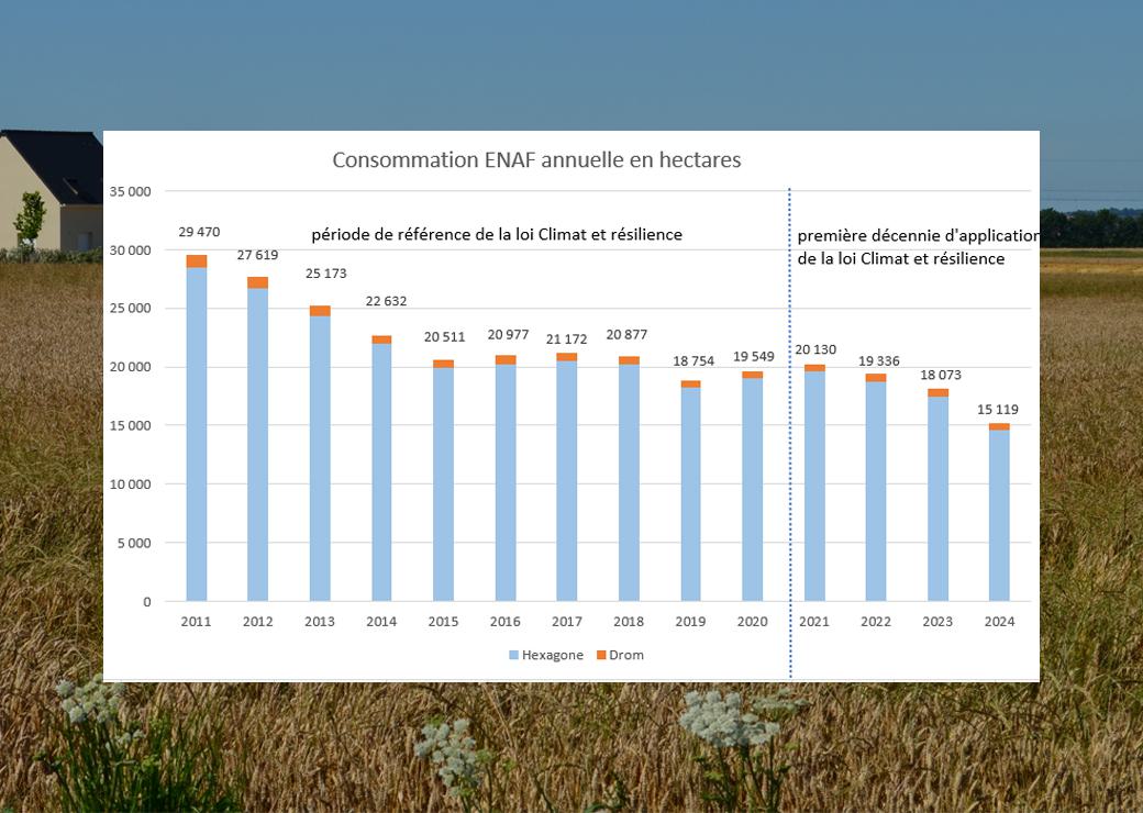 Consommation ENAF annuelle en hectares