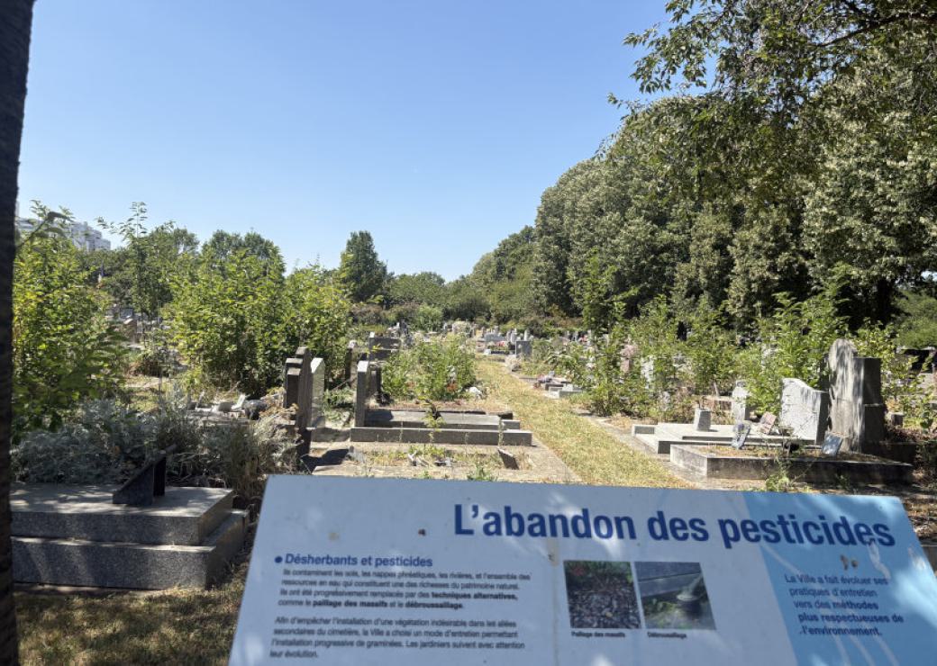 Un paneau d'information au premier plan, puis des allées et des arbres, penchés sur des tombes