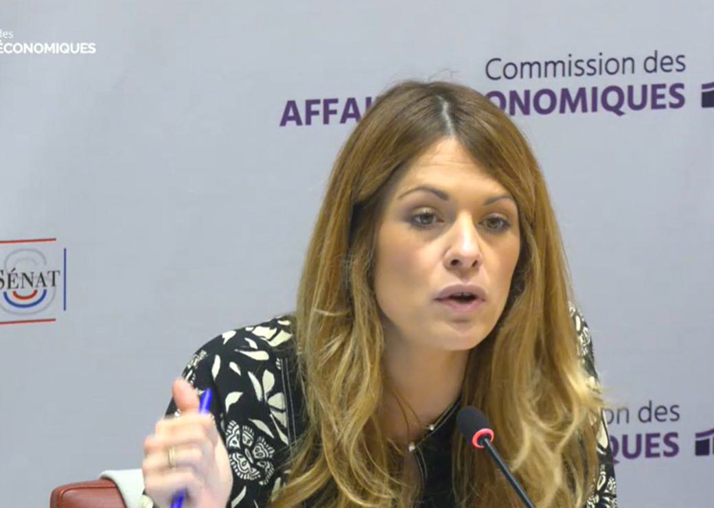 Audition de Maud Bregeon devant la commission des affaires économiques le 27 octobre