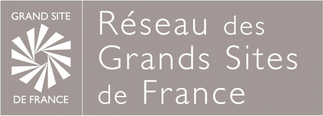 logo RGSF