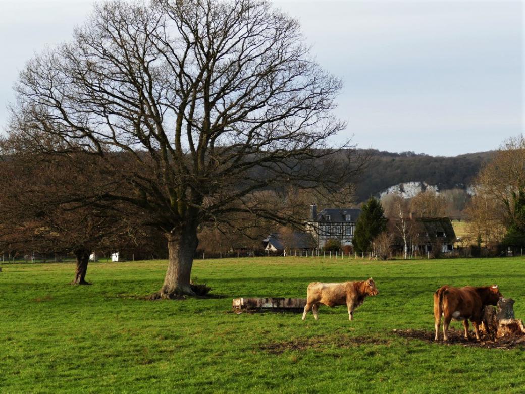 paysage de campagne