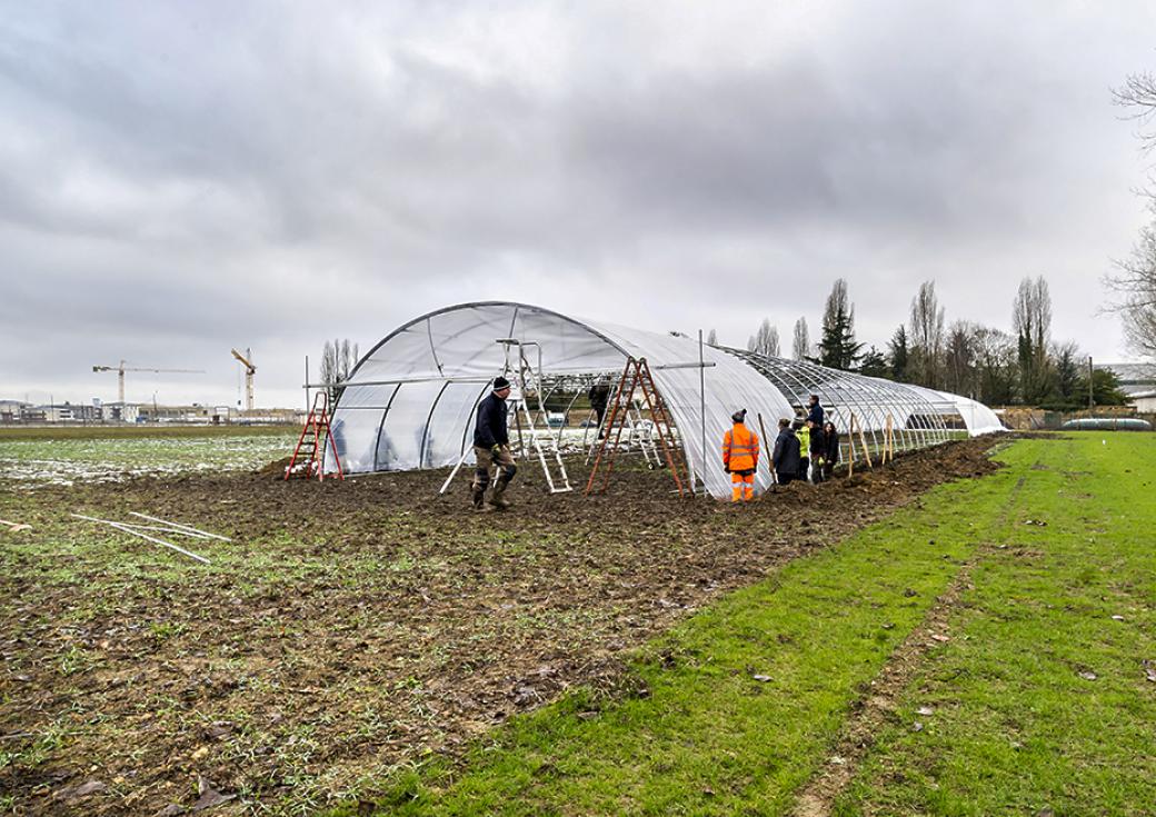 3.500 m² de terres ont été mis en culture maraichère