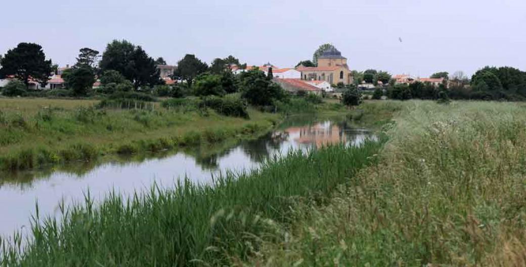 Gemapi