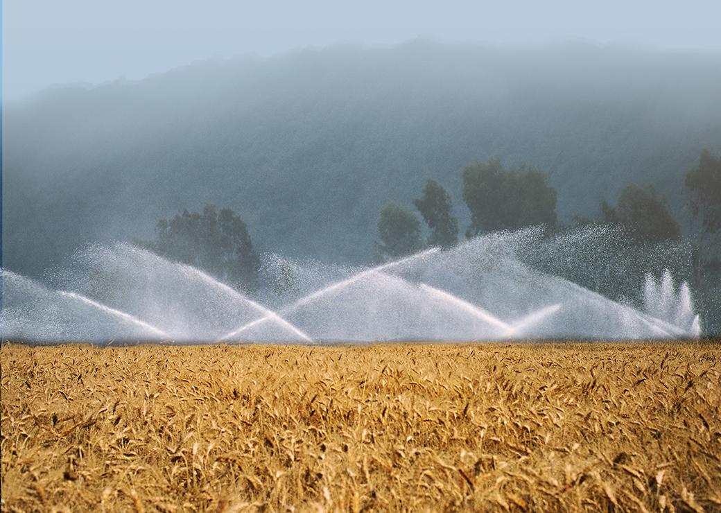 Adaptation au changement climatique : comment les territoires se saisissent des enjeux sur la ressource en eau