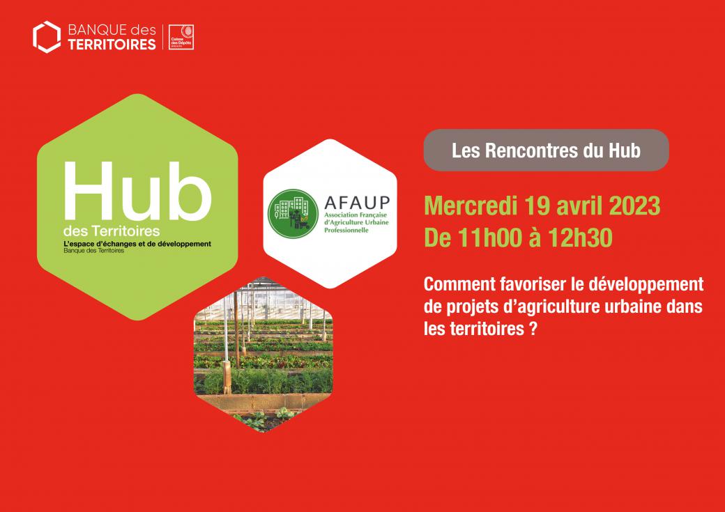 projets agriculture urbaine